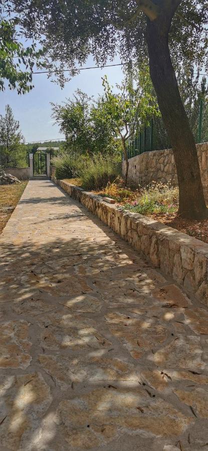 Park Apartment Pridraga Exterior photo